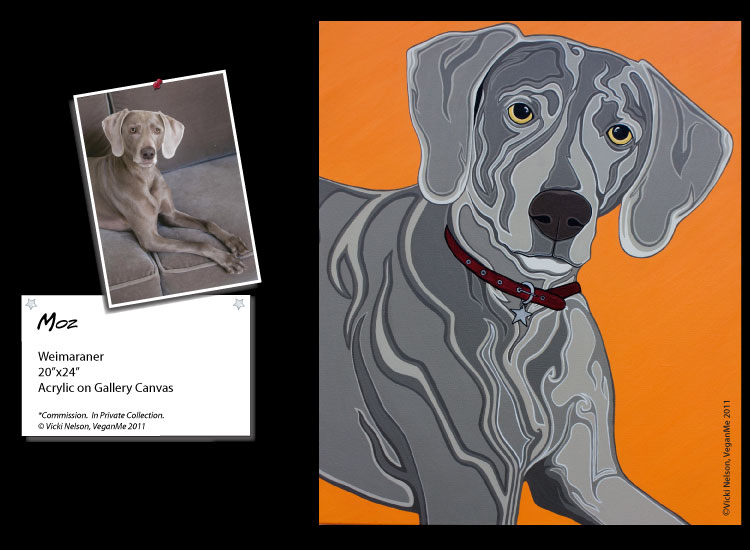 Moz the Weimaraner Dog Portrait