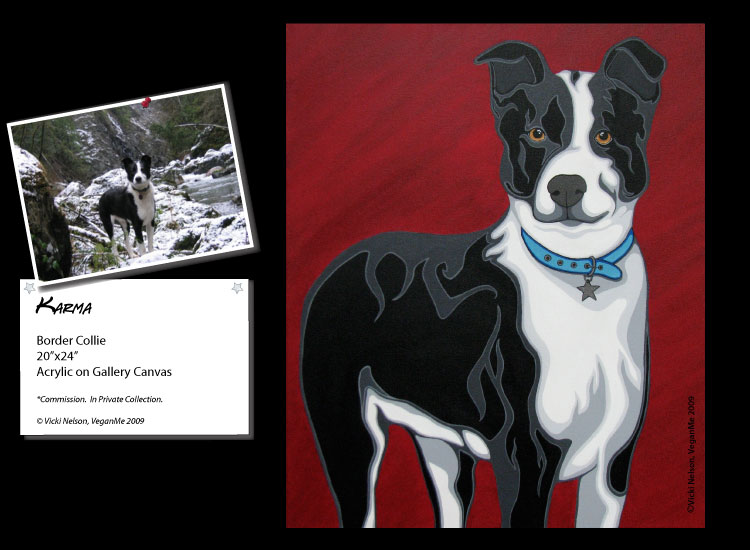 Karma the Border Collie dog portrait