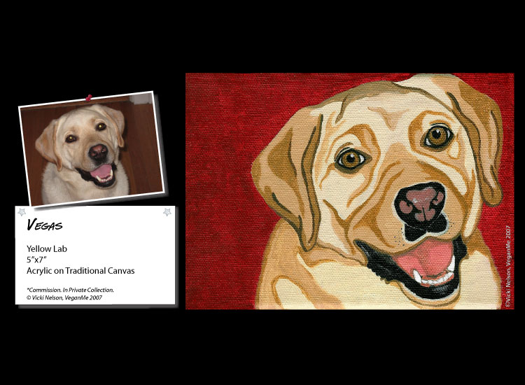 Vegas the Yellow Lab dog portrait