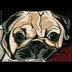 Buster the Pug Portrait