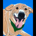 Carmen the Yellow Lab Chow Chow Mix Dog Portrait